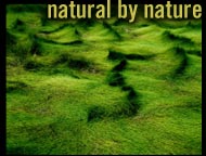 Natural by Nature